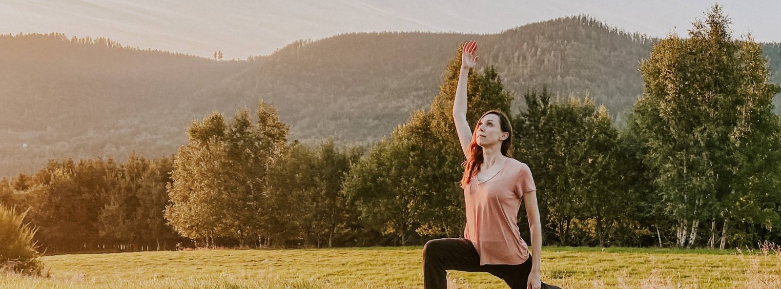 plateforme en ligne yoga fonctionnel apaiser système nerveux stress plateforme en ligne yoga fonctionnel apaiser systeme nerveux stress