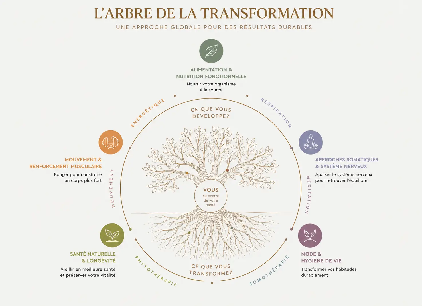 Arbre de la transformation RRT arbre de la transformation rrt