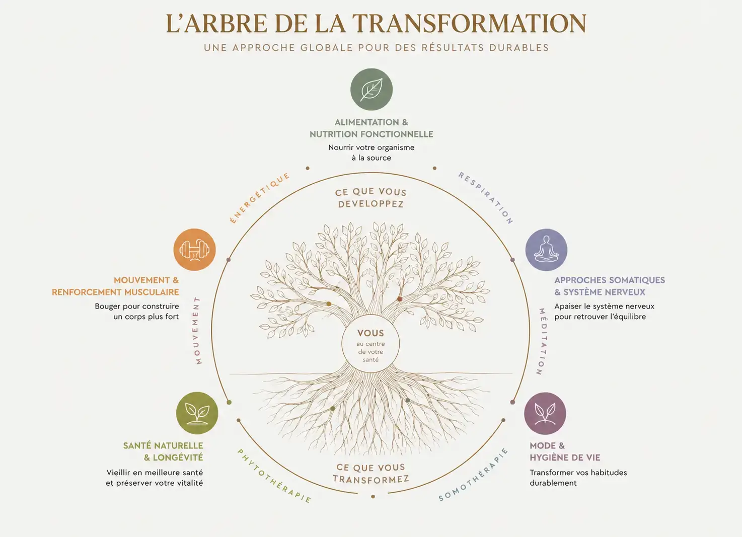 Arbre de la transformation RRT arbre de la transformation nadine bach