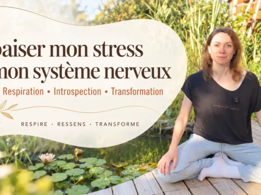 Comment apaiser le système nerveux et le stress | Programme RRT Comment apaiser le système nerveux et le stress | Programme RRT